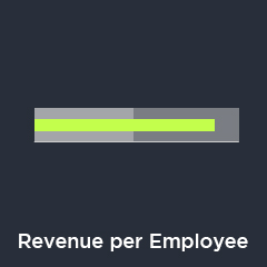 Revenue Per Employee chart image
